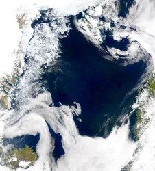 Crédito Fornecido pelo Projeto SeaWiFS, NASAGoddard Space Flight Center, e ORBIMAGE As águas frias e produtivas do Mar da Groenlândia e do Mar da Noruega são reveladas nesta imagem do SeaWiFS.